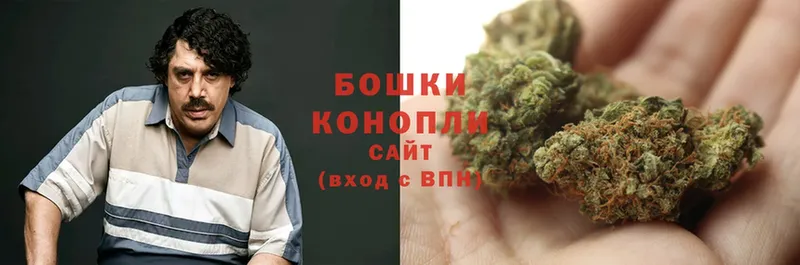 где купить   Кинель  Канабис THC 21% 